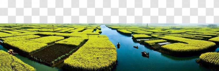 Water Resources Landscape Yellow - Xinghua Cauliflower Heaven Transparent PNG