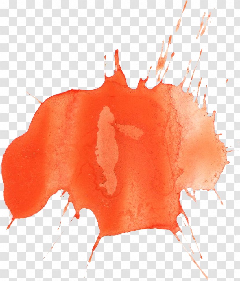 Orange County Watercolor Painting Red - Silhouette - Splash Transparent PNG