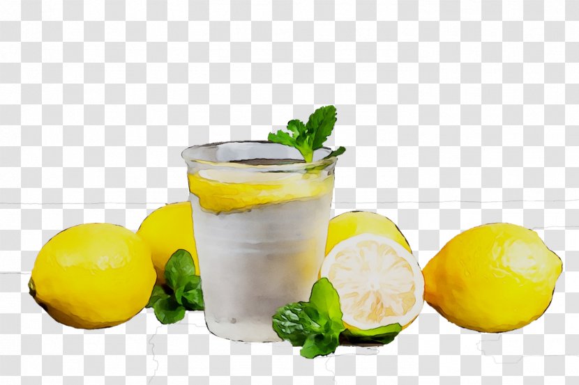 Lemonade Cocktail Garnish Limeade - Lemonsoda - Lemon Transparent PNG