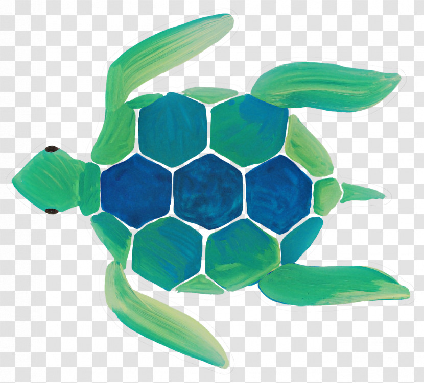 Sea Turtles Turtles Loggerhead Sea Turtle Sea Green Sea Turtle Transparent PNG