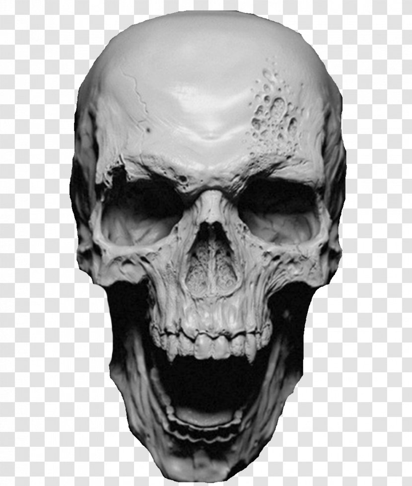 T-shirt Skull Human Skeleton Clothing - Jaw - Three Skulls Transparent PNG