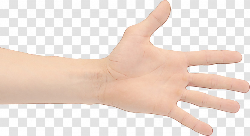 Finger Hand Skin Thumb Wrist Transparent PNG