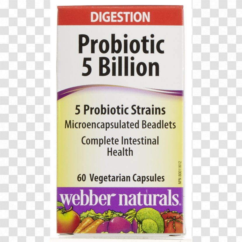 Probiotic Dietary Supplement Health Gut Flora Gastrointestinal Tract - Immune System Transparent PNG