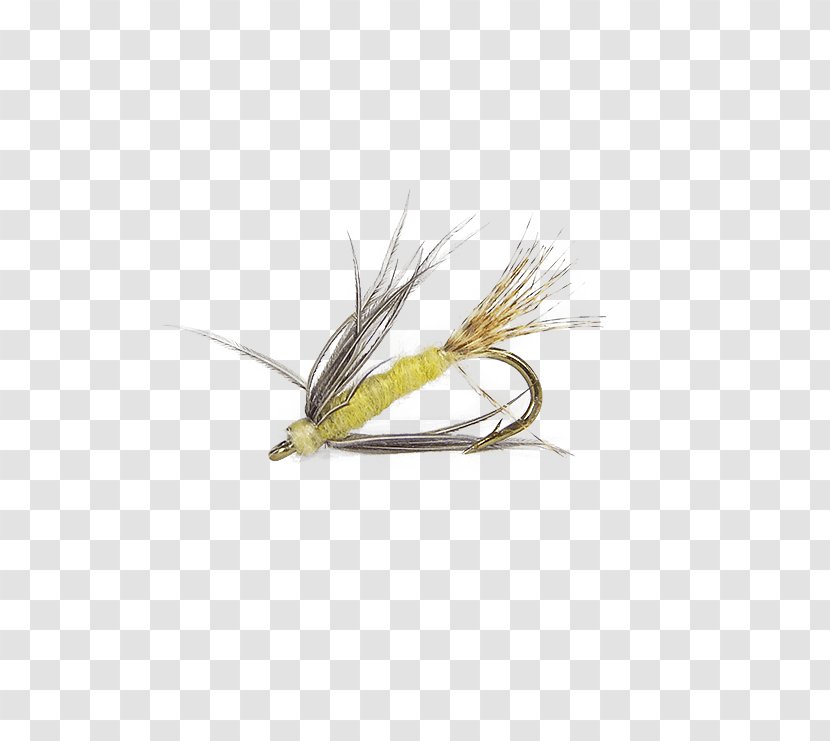 Artificial Fly Hackles Insect Yellow - Membrane Winged - Hackle Transparent PNG