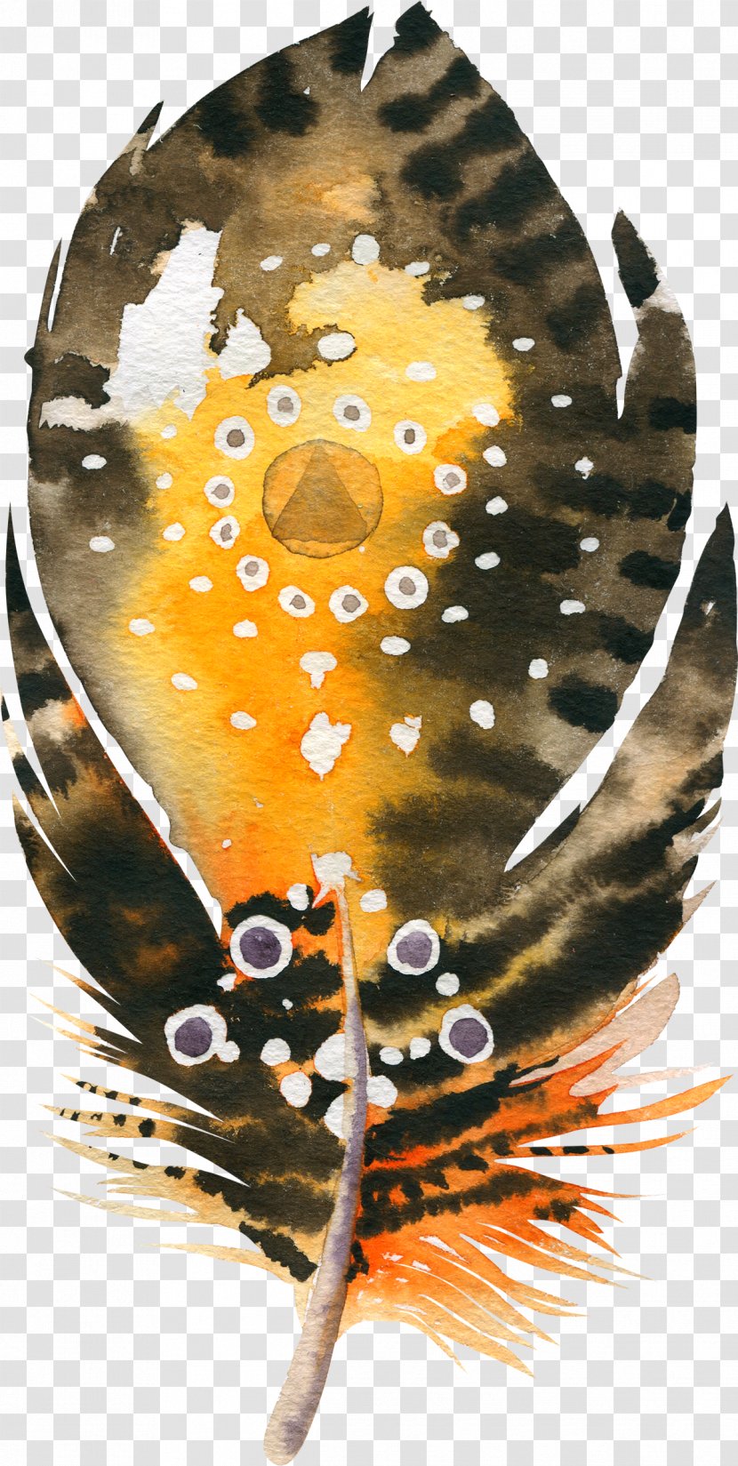 Bird Feather Illustration Transparent PNG