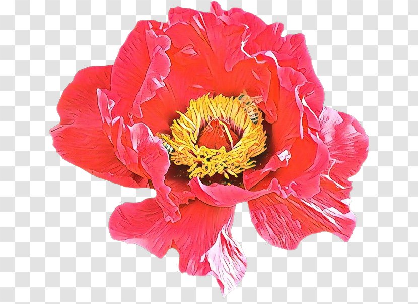 Blue Watercolor Flowers - Red - Common Peony Artificial Flower Transparent PNG