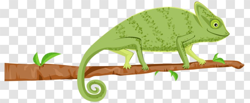 Chameleons Wall Decal Etsy - Chameleon Transparent PNG