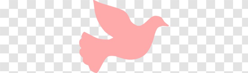 Beak Duck Bird Cygnini Goose - Dove Cliparts Transparent PNG