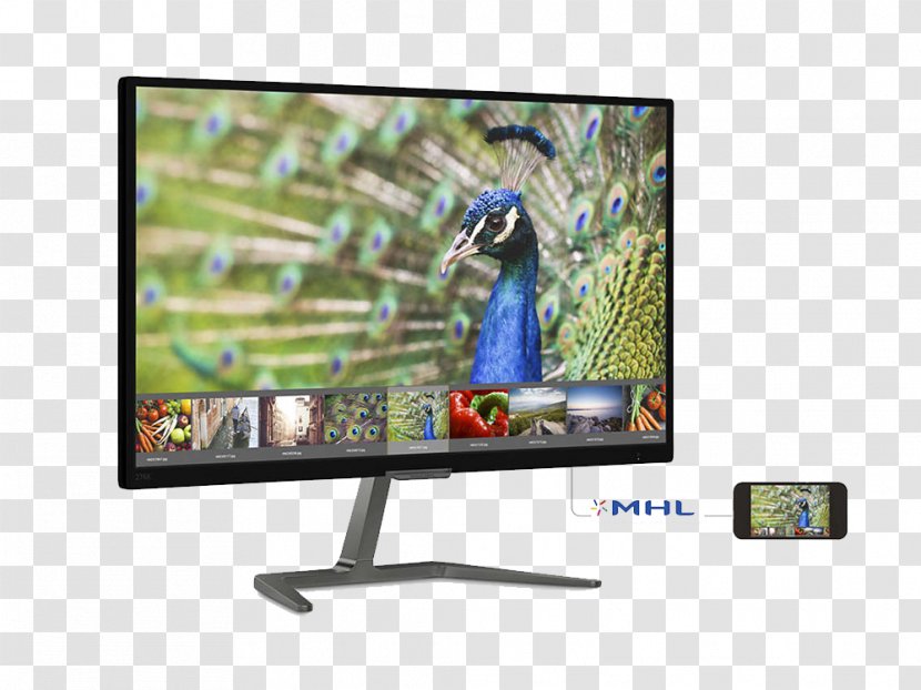 Computer Monitors IPS Panel Philips 1080p LED-backlit LCD - Vga Connector - Hd Brilliant Light Fig. Transparent PNG
