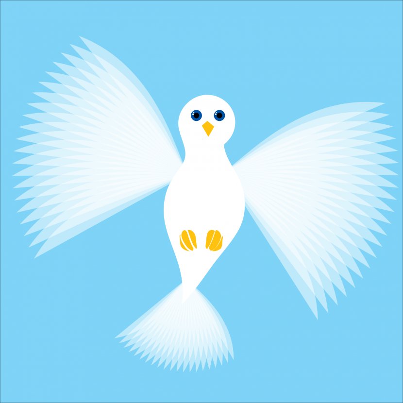 Columbidae Flight Bird - Sky - DOVE Transparent PNG