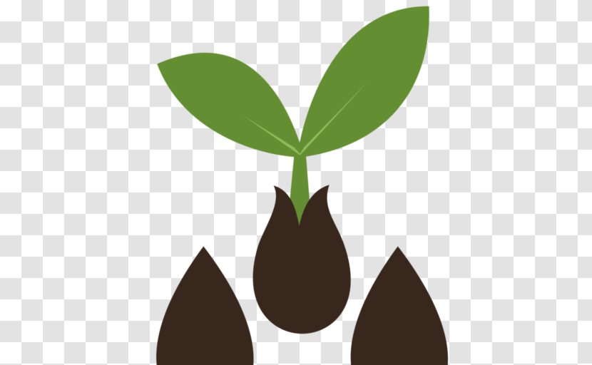 Seed Heirloom Plant Sprouting Sowing Home Shop 18 Transparent PNG