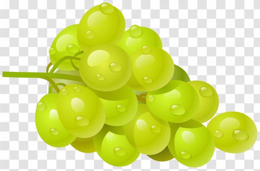 Common Grape Vine Wine Clip Art - Vitis - White Grapes Cliparts Transparent PNG