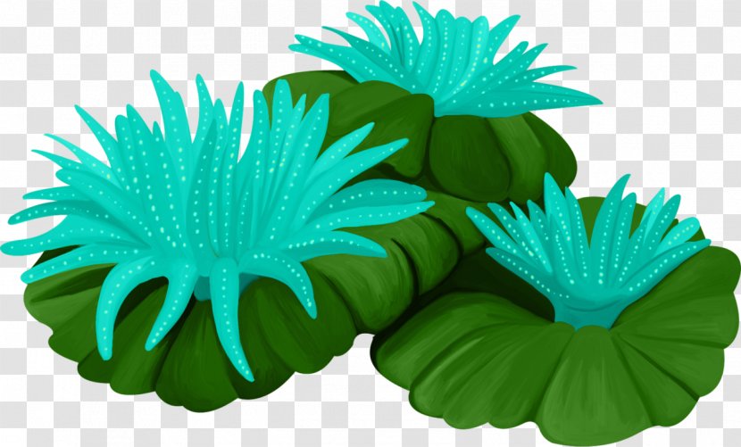Petal Green Leaf Transparent PNG