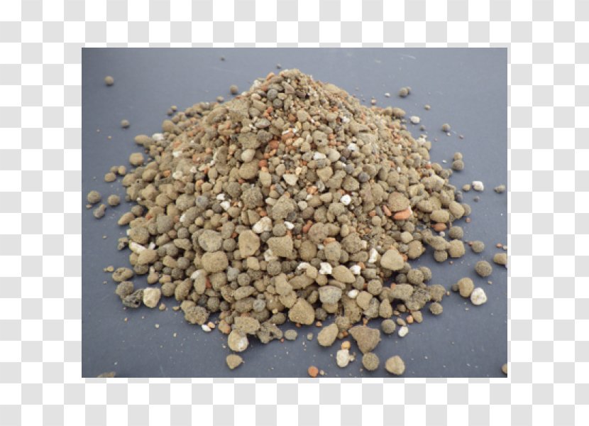 Gravel Material Mixture - Mammillaria Transparent PNG