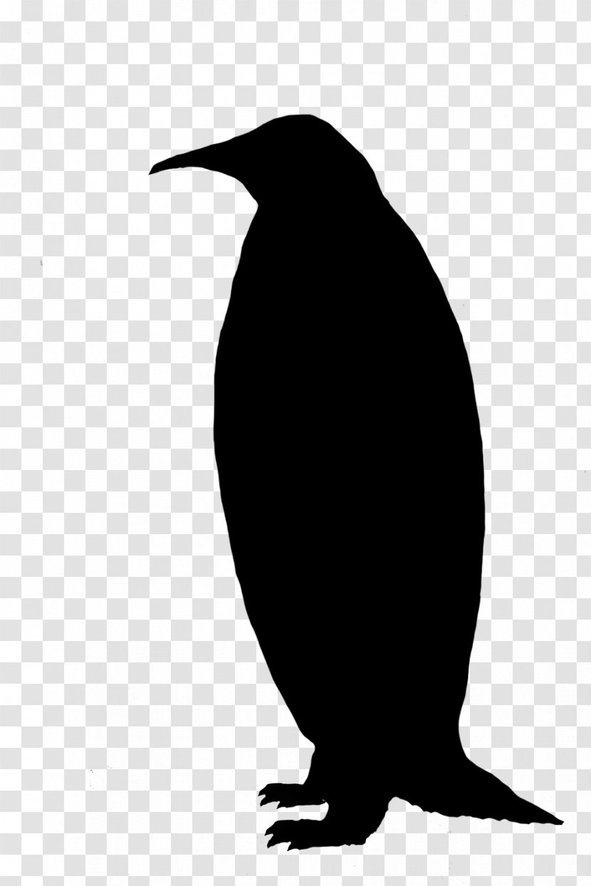 Penguin American Crow Fauna Silhouette Common Raven - Flightless Bird Transparent PNG