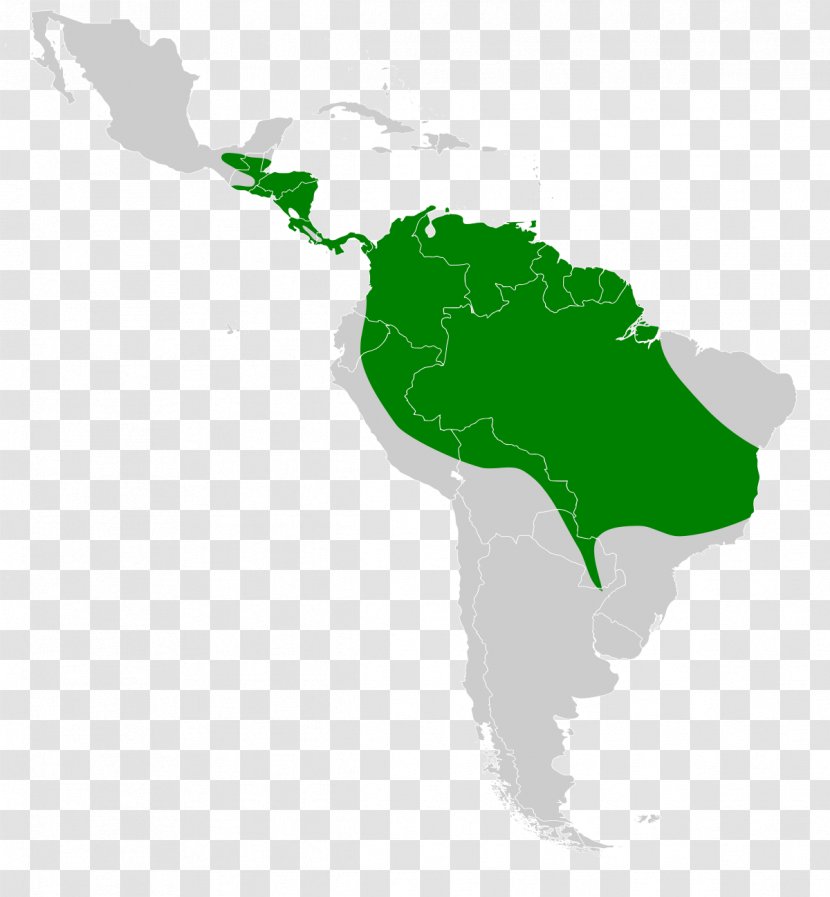 Latin America South Central Map Language - Green Transparent PNG