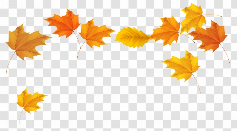Autumn Leaf Color Clip Art - Falling Leaves Transparent Background Transparent PNG