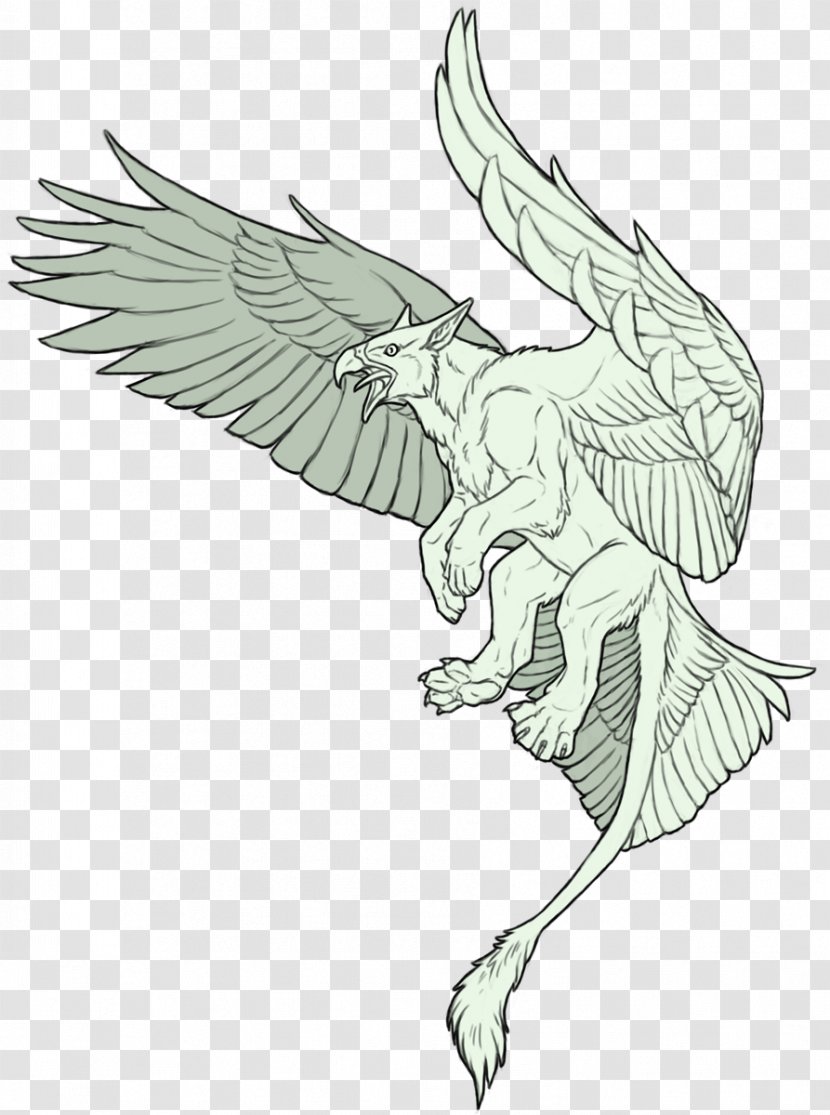 Griffin Drawing Art Sketch - Organism Transparent PNG