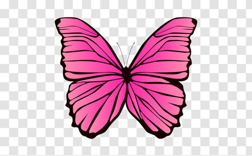 Borboleta Image Design Butterfly - Magenta - Drawing Transparent PNG
