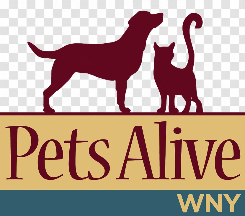 Labrador Retriever Puppy Dog Breed Cat Pets Alive WNY Transparent PNG