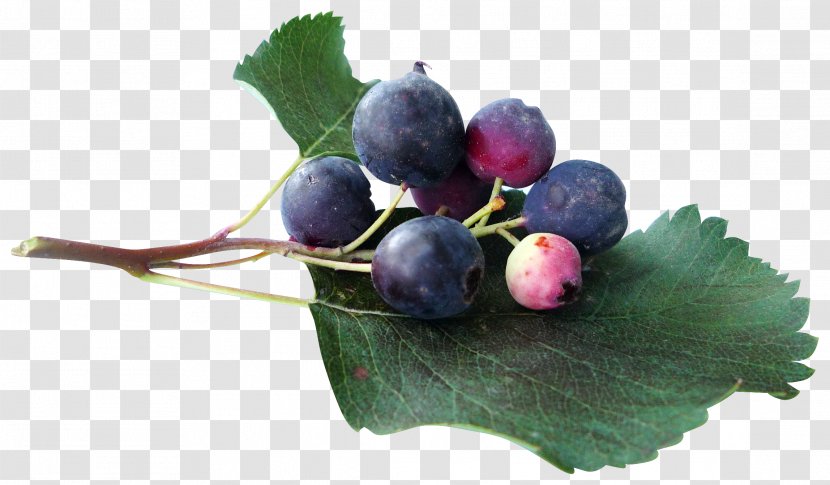 Juice Blueberry Grape Clip Art - Fruit Transparent PNG