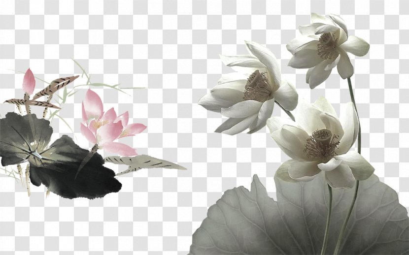 U756bu8377u82b1 Ink Wash Painting Watercolor Nelumbo Nucifera - Plant - Lotus Transparent PNG