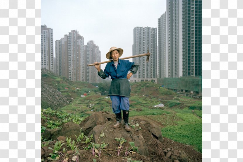 China Farm Urban Agriculture Arable Land Tree Transparent PNG