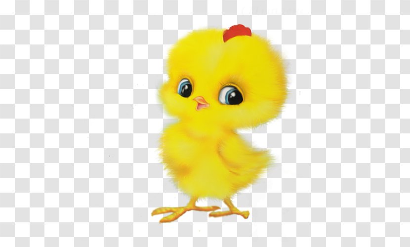 Chicken Child Game Easter Egger Transparent PNG