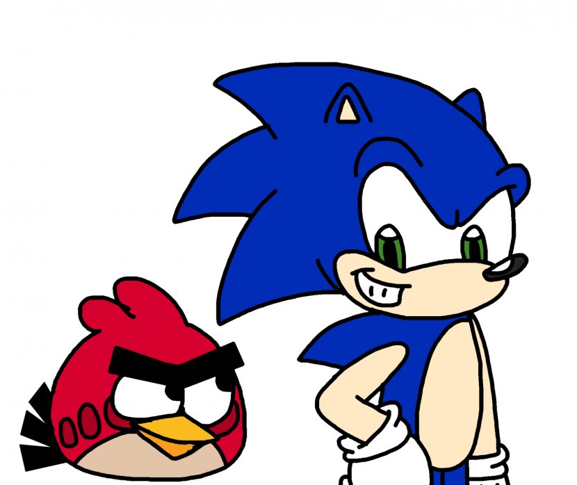 Sonic The Hedgehog Angry Birds Epic Colors Sega Transparent PNG