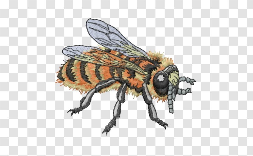 Western Honey Bee Insect Machine Embroidery - Black Fly Transparent PNG