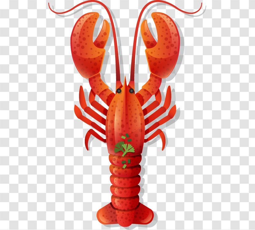 Muscat Al Ain Azalea-Caribea Bar And Restaurant Seafood - Decapoda - Flat Cartoon Lobster Dishes Transparent PNG