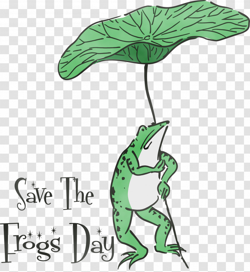Leaf Plant Stem Frogs Tree Frog Cartoon Transparent PNG