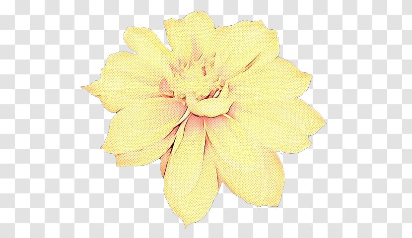 Yellow Petal Flower Pink Plant - Cut Flowers Headband Transparent PNG