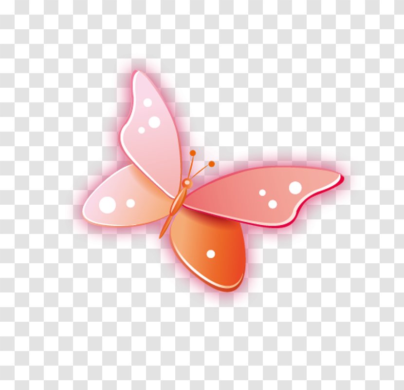 Butterfly Drawing - Pollinator - Cartoon Transparent PNG