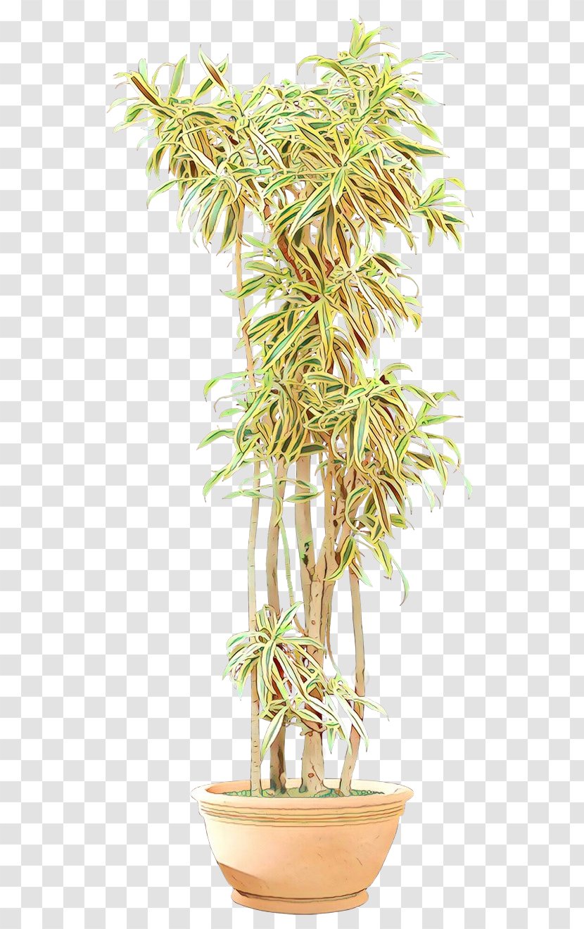 Flowerpot Tree Houseplant Arecales Plant Stem - Palm Transparent PNG