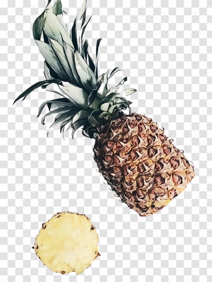 Pineapple - Food - Attalea Speciosa Poales Transparent PNG