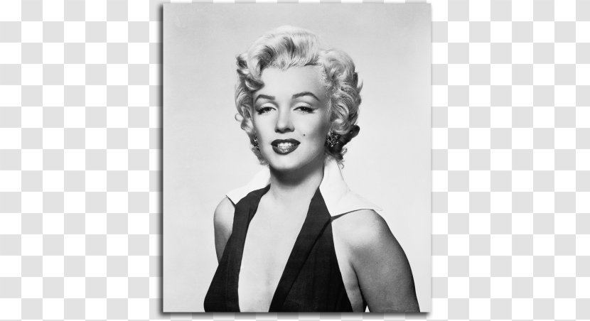Marilyn Monroe Shot Marilyns Image Campbell's Soup Painting - Beauty Transparent PNG