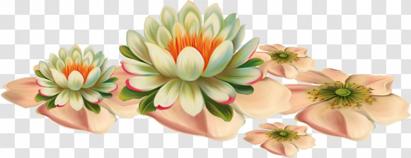 Gift Tag - Daisy Family - Artificial Flower Transparent PNG