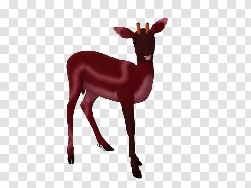 Animal Cartoon - Roe Deer Tail Transparent PNG