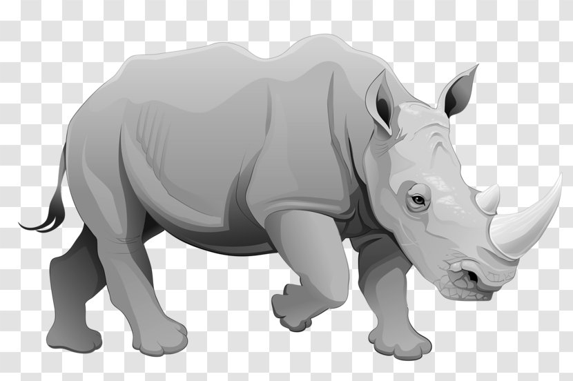 Rhinoceros Cartoon Illustration - Fauna - Gray Rhino Transparent PNG