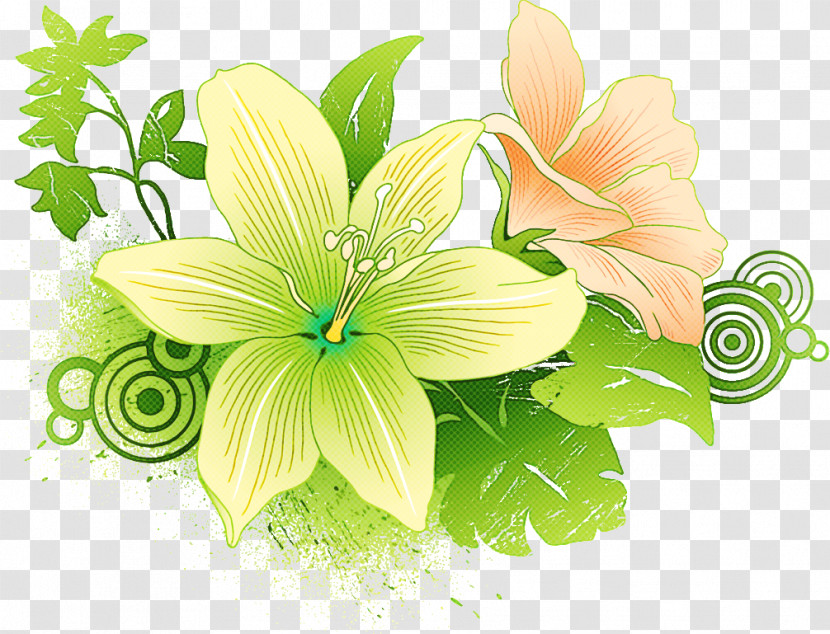 Lily Flower Transparent PNG