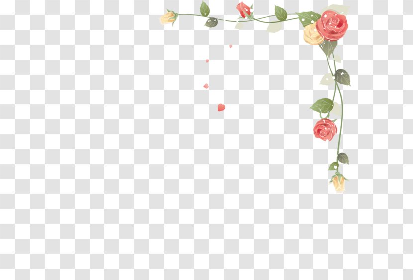 Flower Picture Frames Paper - Blossom Transparent PNG