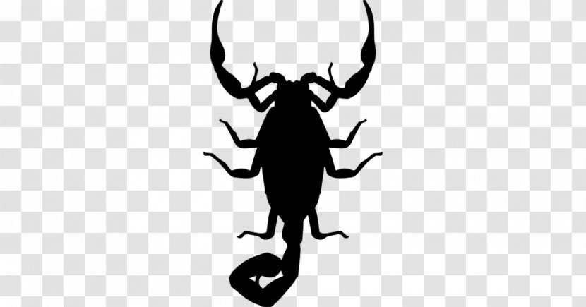 Scorpion Insect Silhouette Shape - Animal Transparent PNG