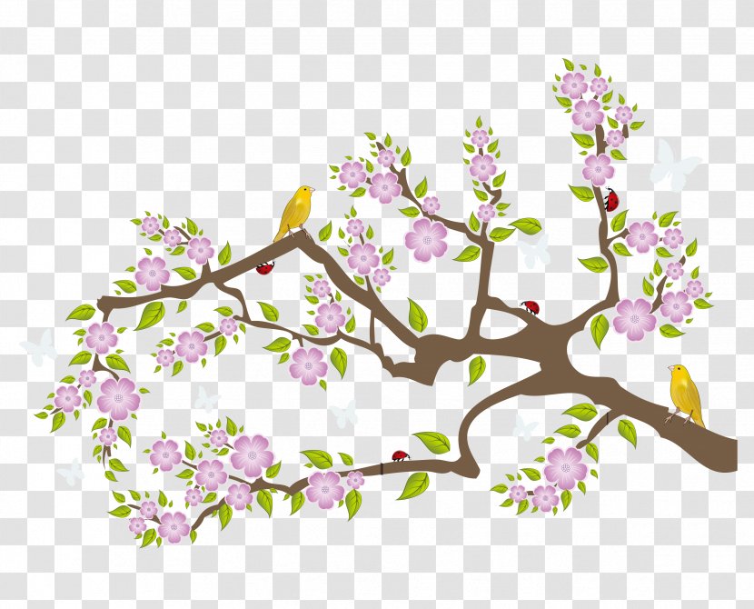 Cherry Blossom Twig Wall Decal Sticker - Flower - Vector Peach Tree Oriole Bird Material Transparent PNG