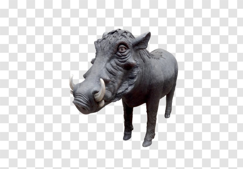 Pig Rhinoceros Cattle Wildlife Snout Transparent PNG