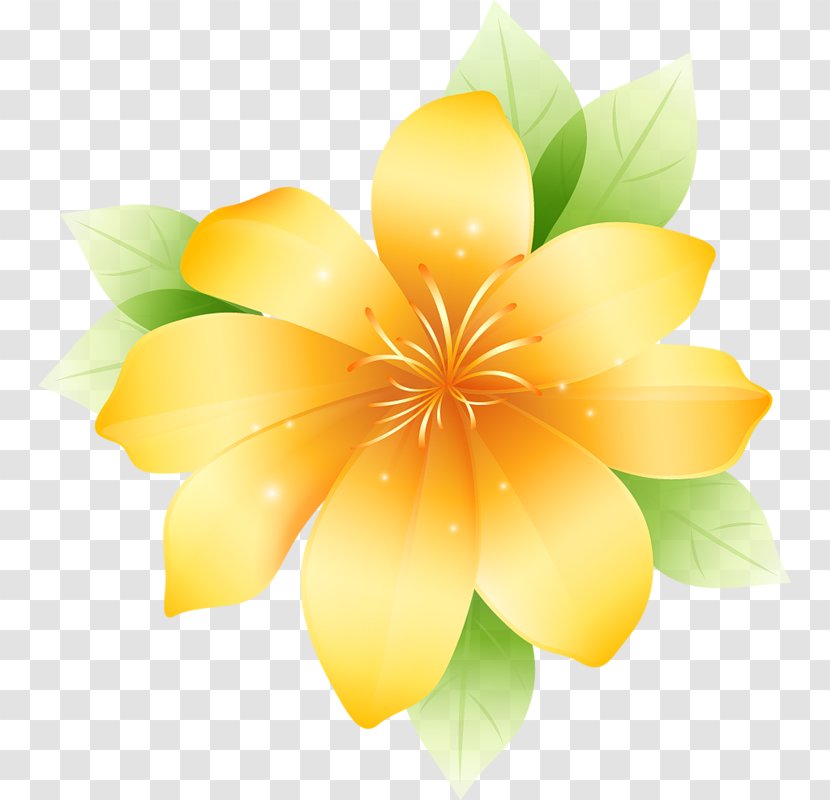 Flower Drawing Graphics Clip Art - Ma - Yellow Large Clipart Transparent PNG