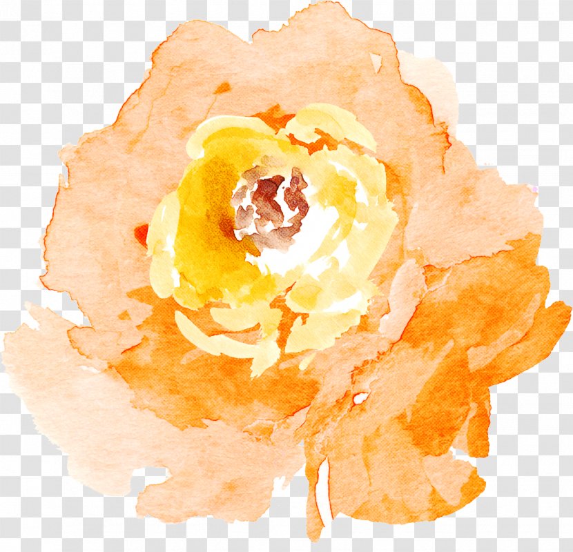 Orange - Peach Food Transparent PNG