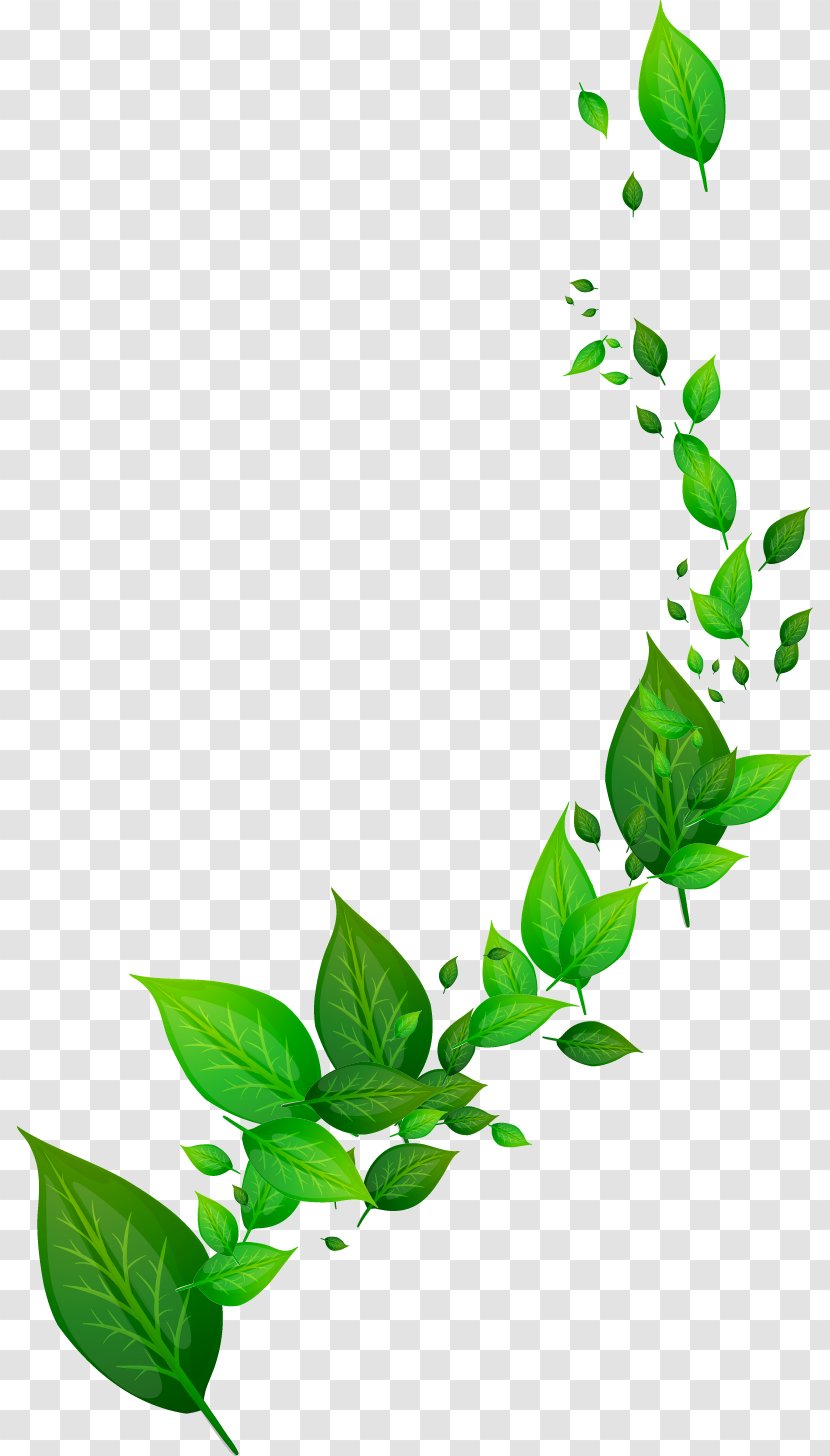 Dynamic Leaf - Tree - Green Transparent PNG
