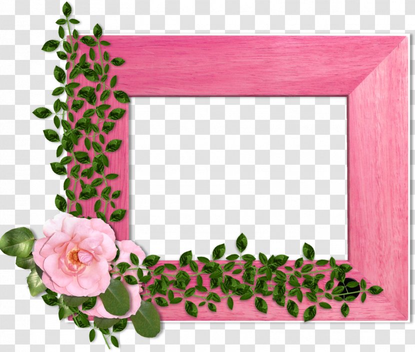Garden Roses Picture Frames Floral Design Flower Photography - Rose Order Transparent PNG