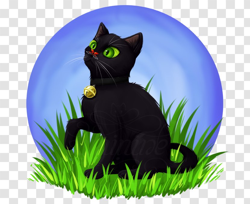 Black Cat Domestic Short-haired Whiskers Adrien Agreste - Snout Transparent PNG